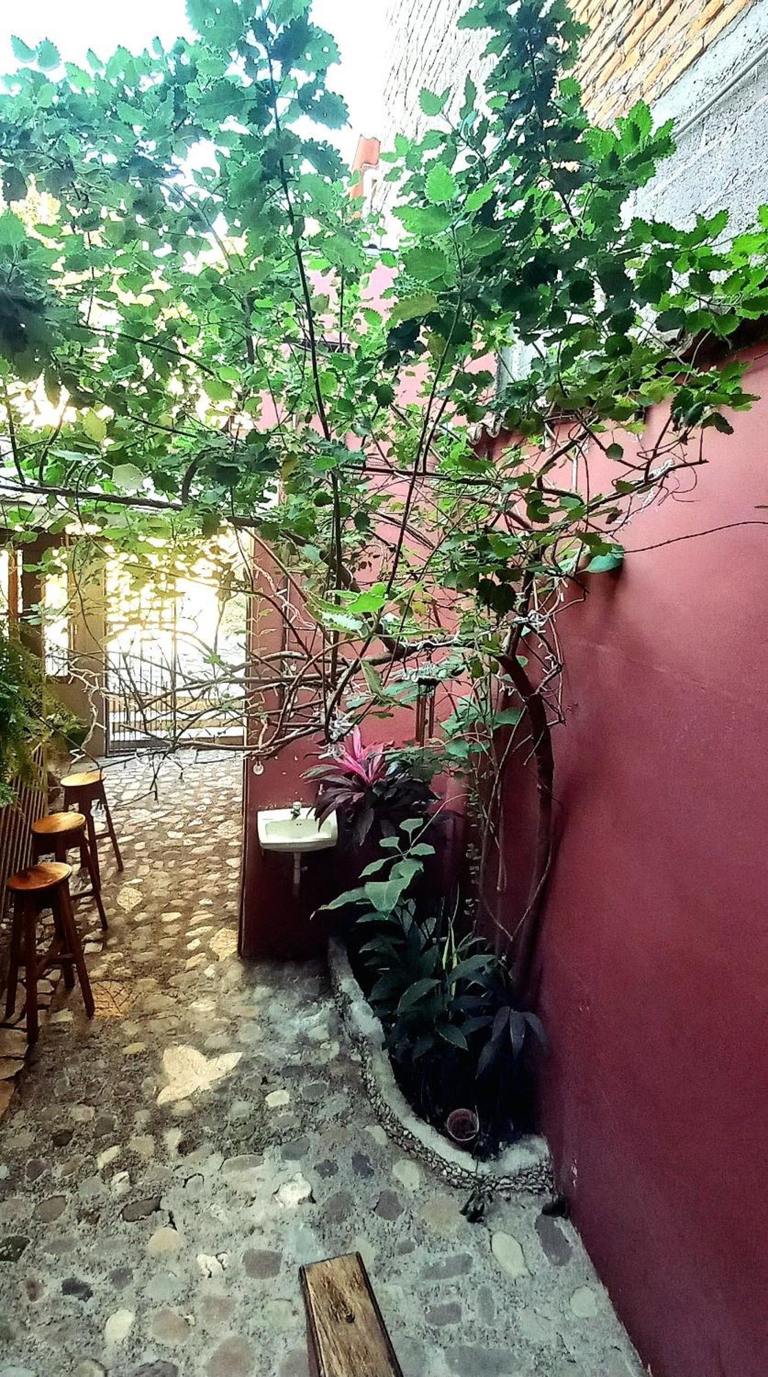 Copán Hotel Rosalila المظهر الخارجي الصورة